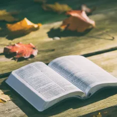Bibel auf Tisch (Foto: Sekretariat ) Bibel auf Tisch (Foto: Sekretariat )
