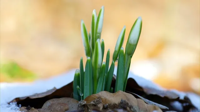 Auf Ostern umschalten, gross (Foto: Sekretariat ) Auf Ostern umschalten, gross (Foto: Sekretariat )