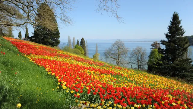 Bild für Seniorenausflug Insel Mainau (Foto: Sekretariat ) Bild für Seniorenausflug Insel Mainau (Foto: Sekretariat )