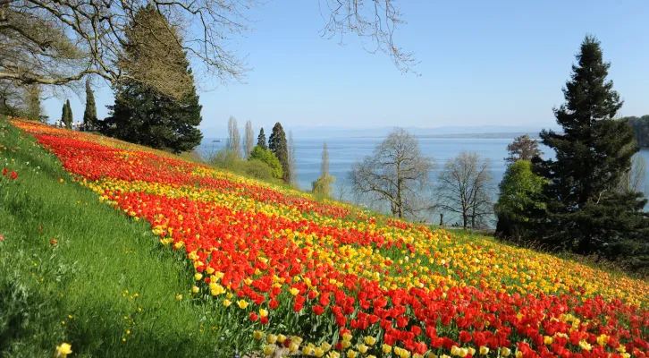 Bild für Seniorenausflug Insel Mainau (Foto: Sekretariat ) Bild für Seniorenausflug Insel Mainau (Foto: Sekretariat )