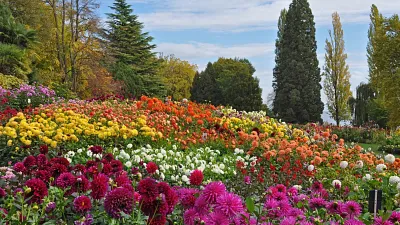 download-2-insel-mainau-dahliengarten-vko (Foto: Insel Mainau) download-2-insel-mainau-dahliengarten-vko (Foto: Insel Mainau)
